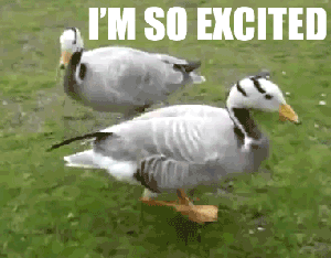excited duck